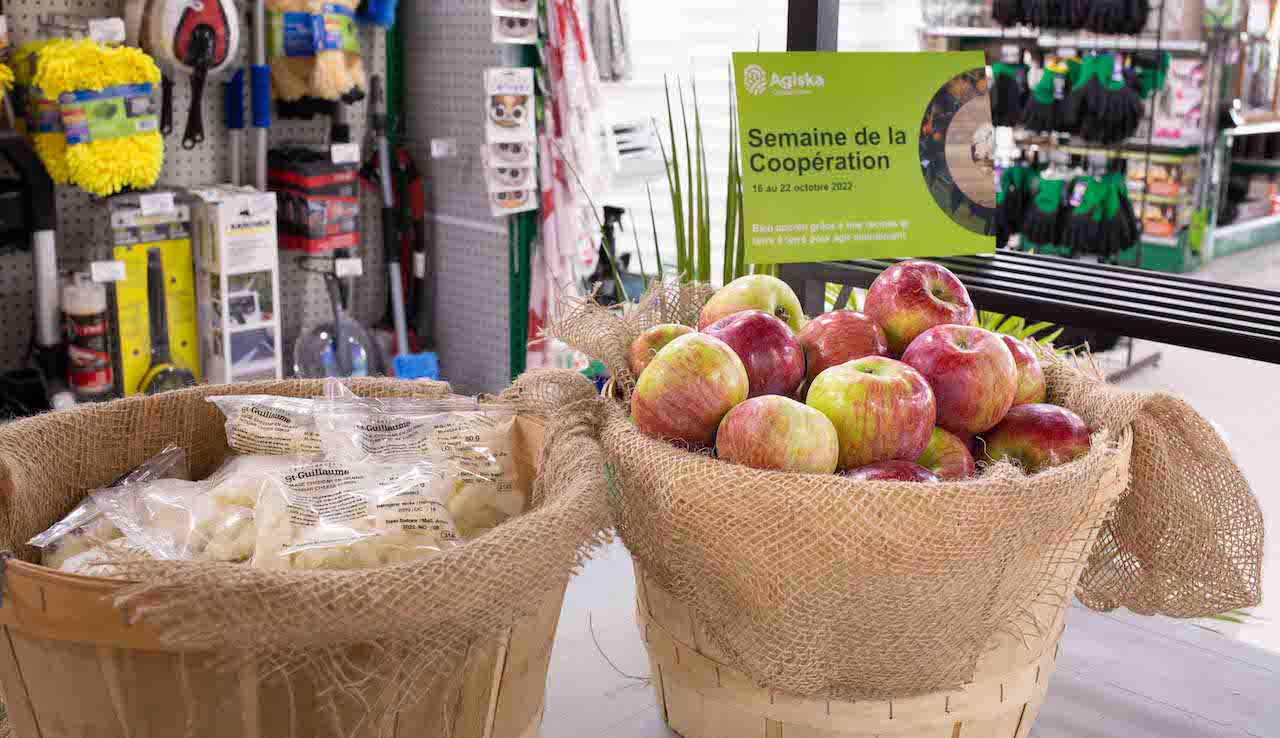 Fromage et pommes - Agiska