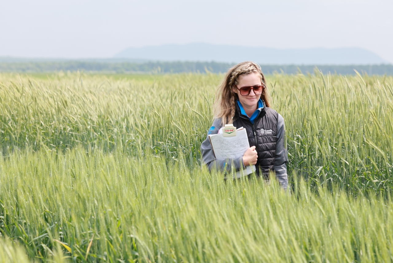 Une experte-conseil dans un champ de céréales