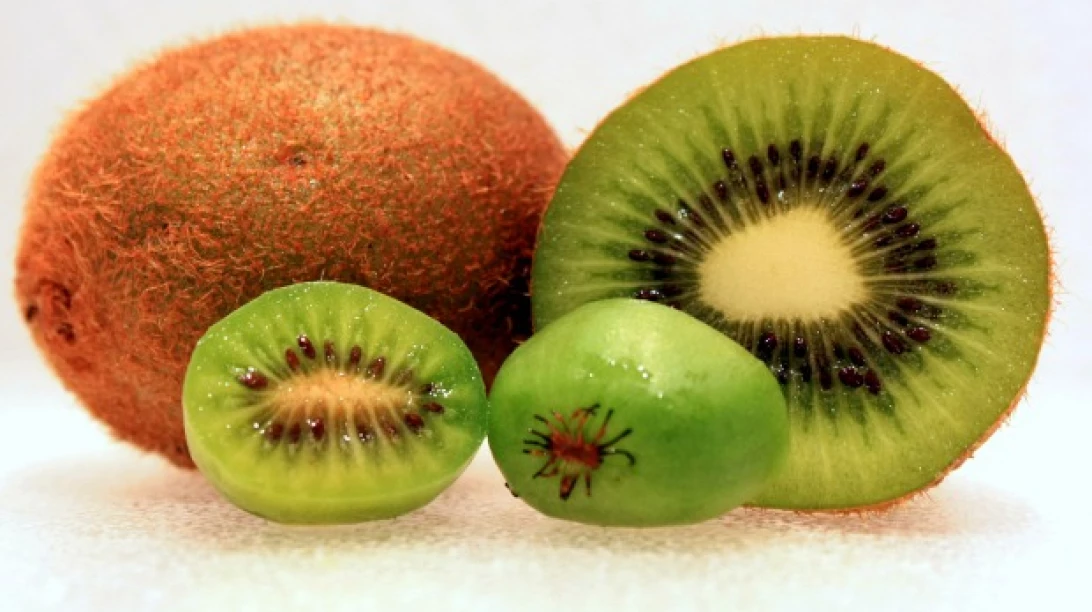 Kiwis arctiques à côté de kiwis réguliers.
