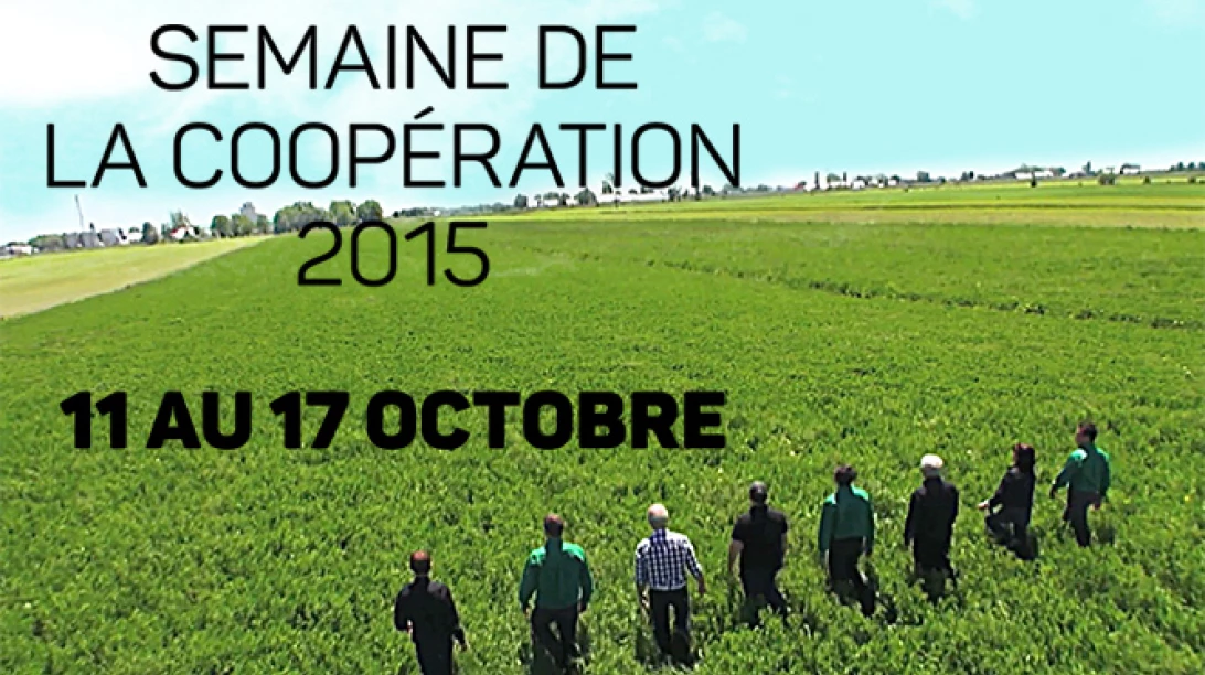 Photo d'annonce pour la Semaine de la coopération.