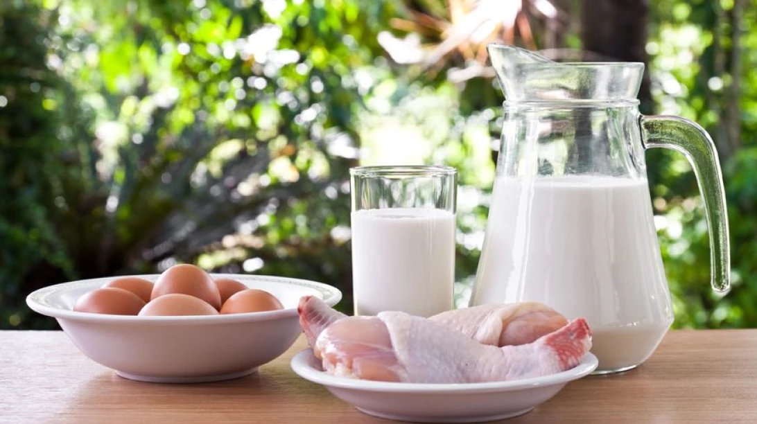 Oeufs, poulet et lait.