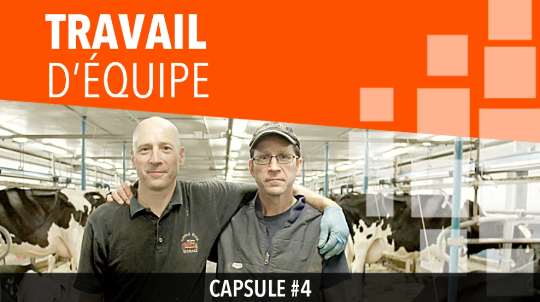 Capsule 4