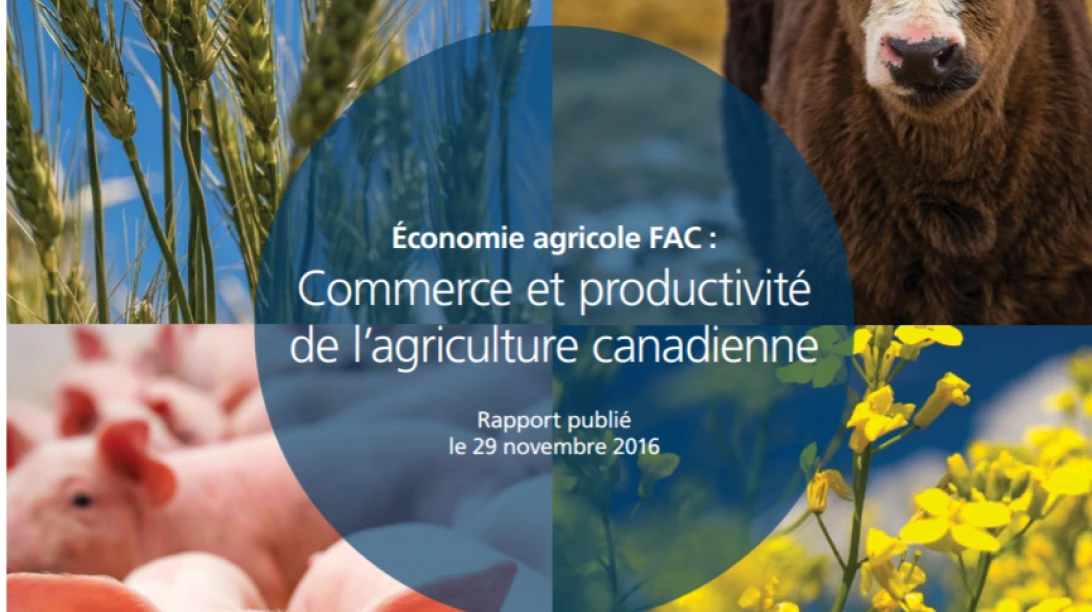 Montage de photos d'éléments naturels réalisé pour servir d'annonce au rapport de la FAC.