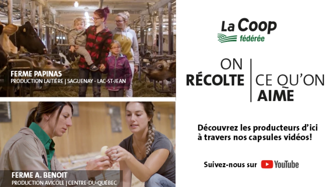 Annonce pour la campagne télé de La Coop Fédérée.
