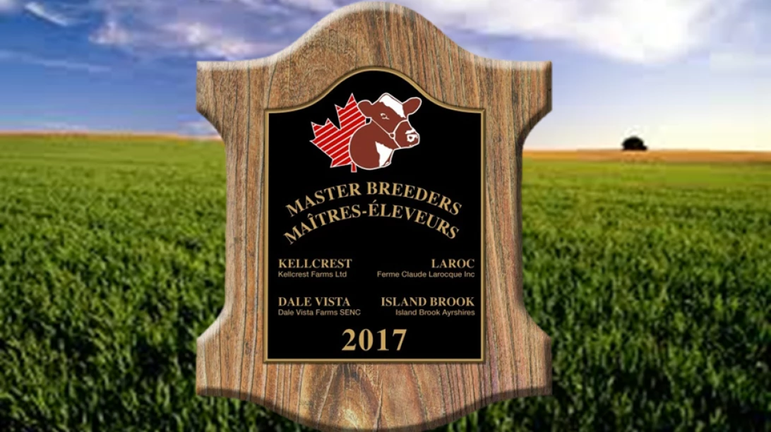 maitres eleveurs ayrshire 2017
