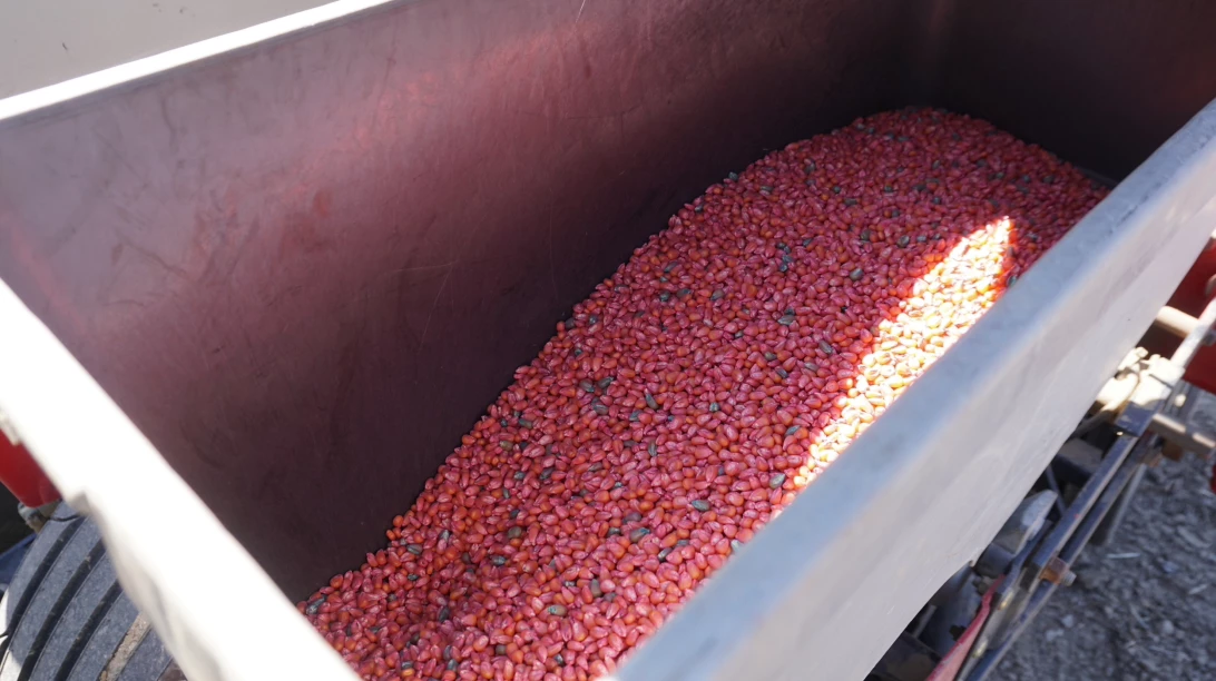 Contenant de semences