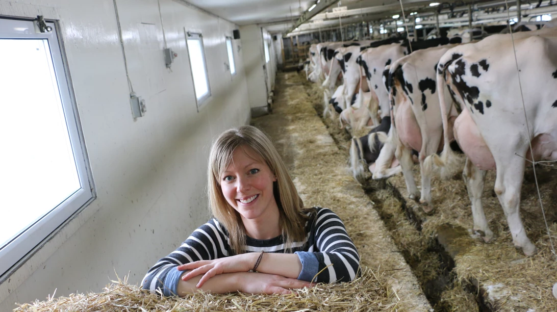 ferme silvercrest le chromosome x de lelevage laitier 0