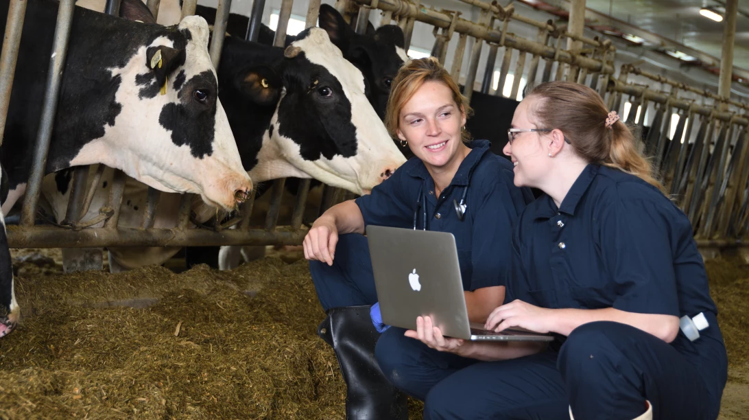 Gracieuseté de l’AMVPQ