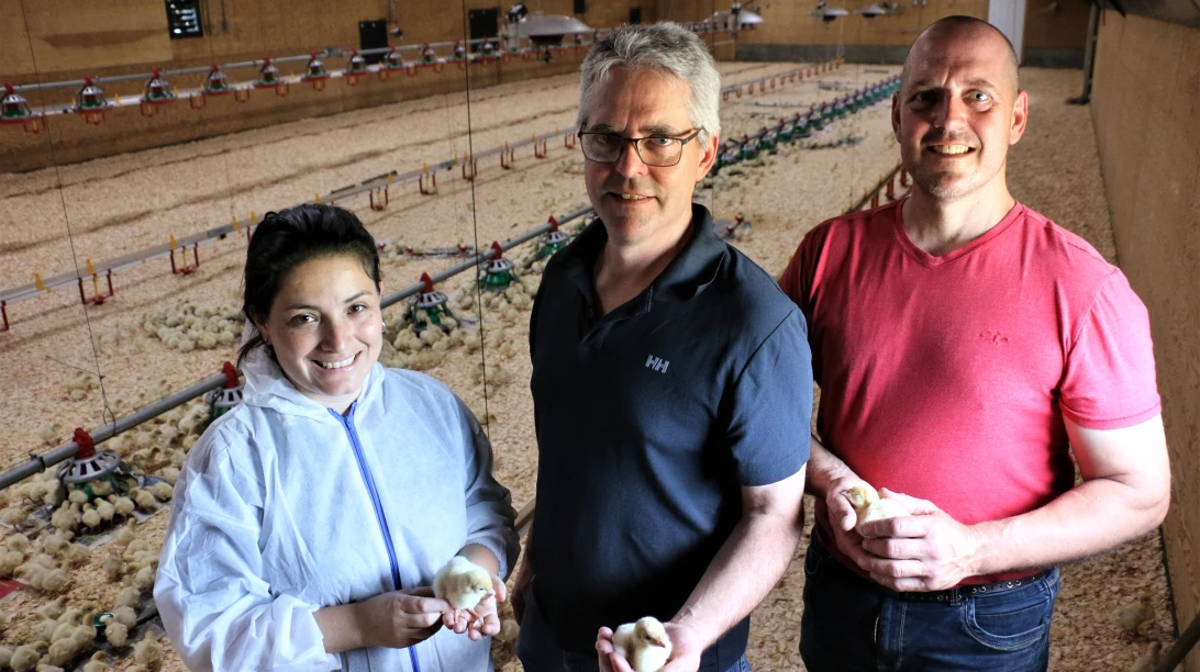 ferme avicole a. choquette jasons dindon