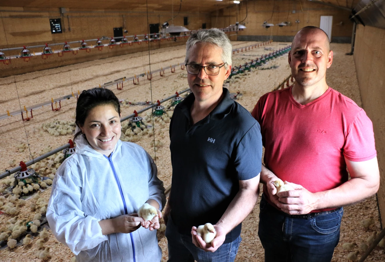 ferme avicole a. choquette jasons dindon