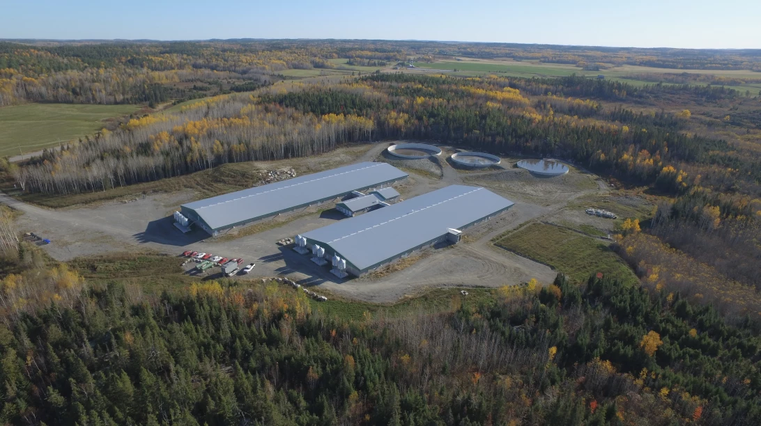 5e maternité de la Fermes Boréales.