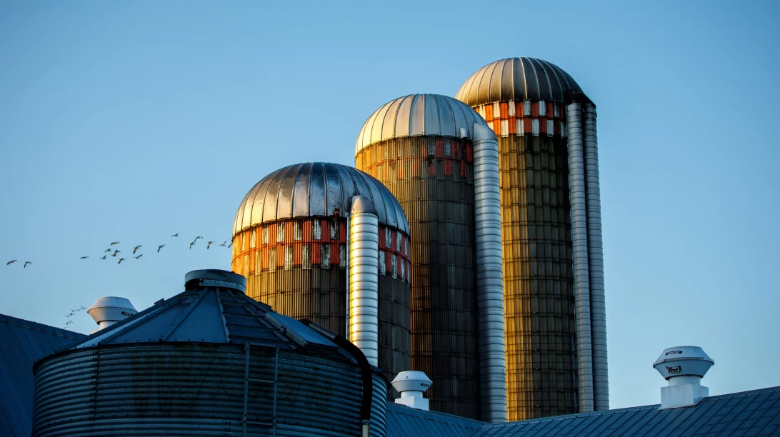 Trois silos vus de loin.