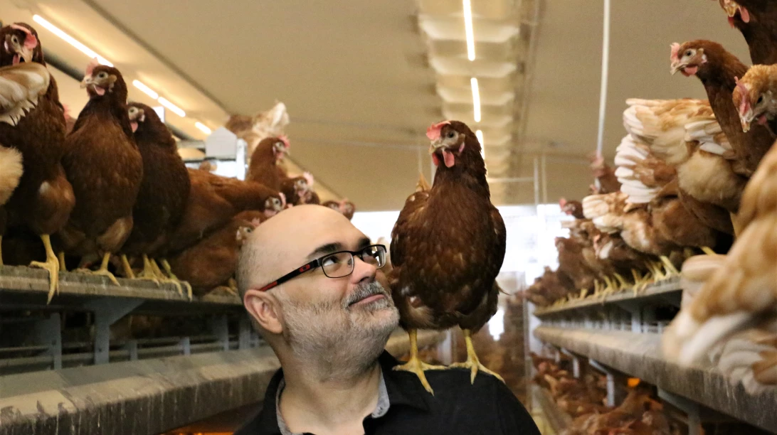 les-houle-et-les-poules-sortir-du-moule
