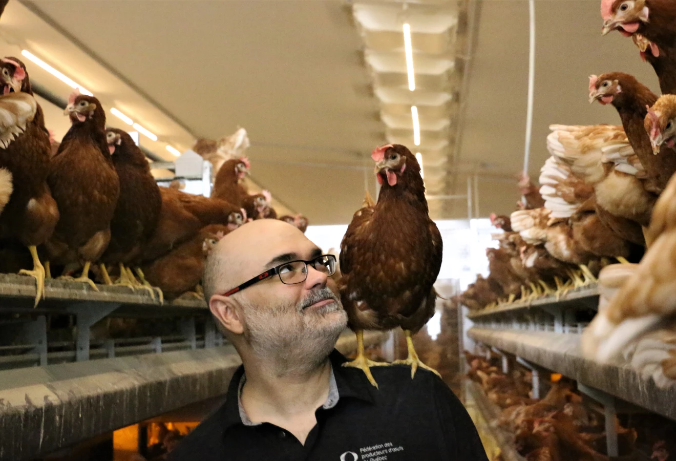 les-houle-et-les-poules-sortir-du-moule