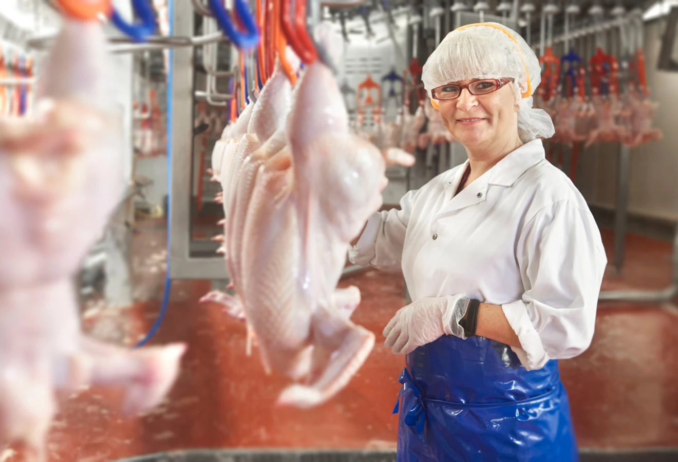 olymel-investit-plus-de-30-millions-de-dollars-a-son-usine-de-saint-damase