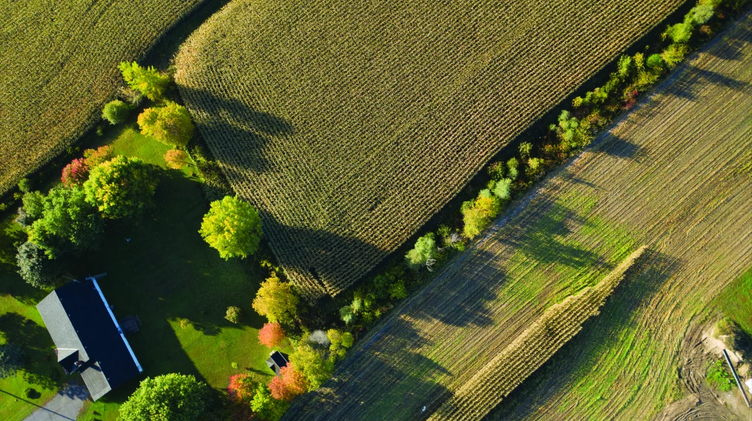 Vue du ciel d'une ferme