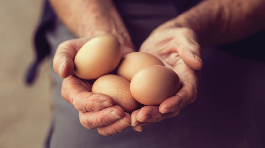 Oeufs