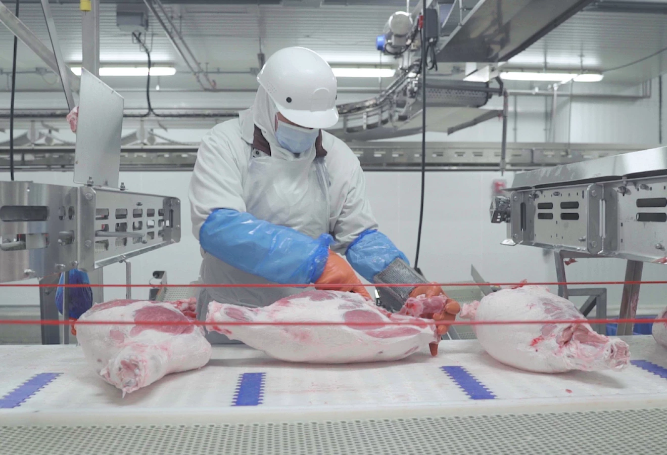 Travail de découpe dans une usine d'Olymel