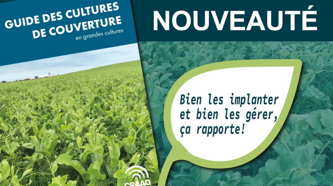 Guide des cultures de couverture - CRAAQ