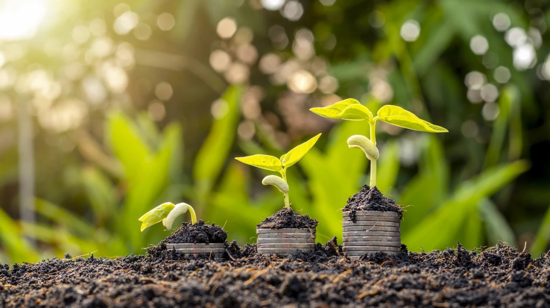 Plants qui poussent sur des pièces de monnaie.