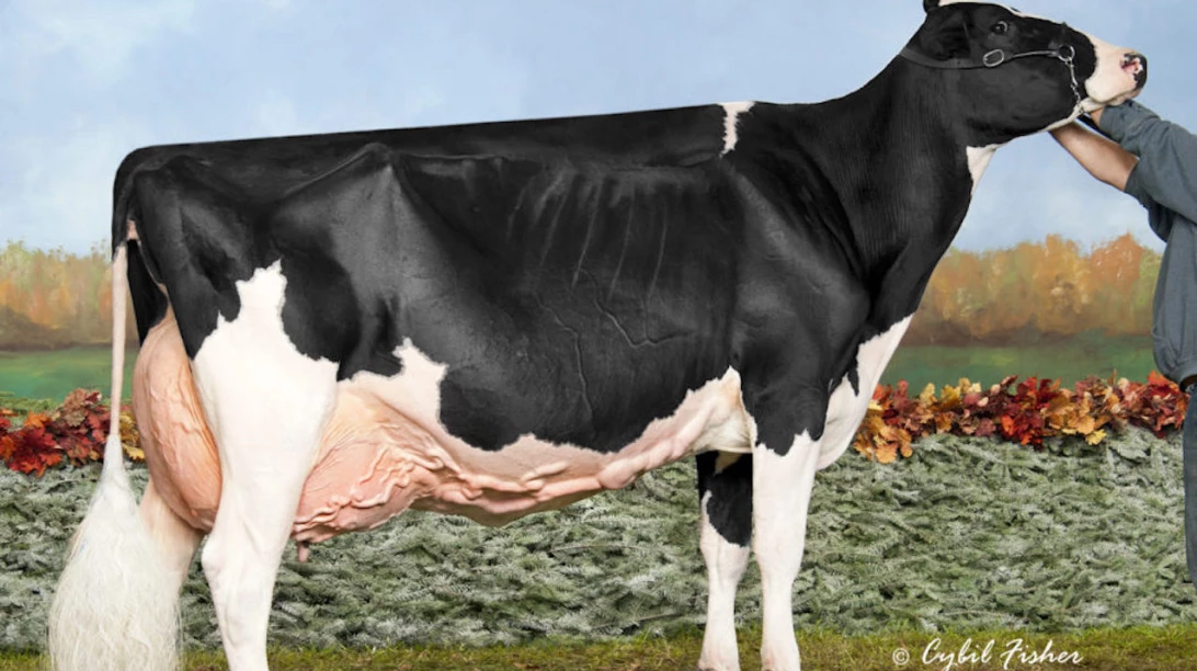 Blondin Goldwyn Subliminal EX-97 4E usa