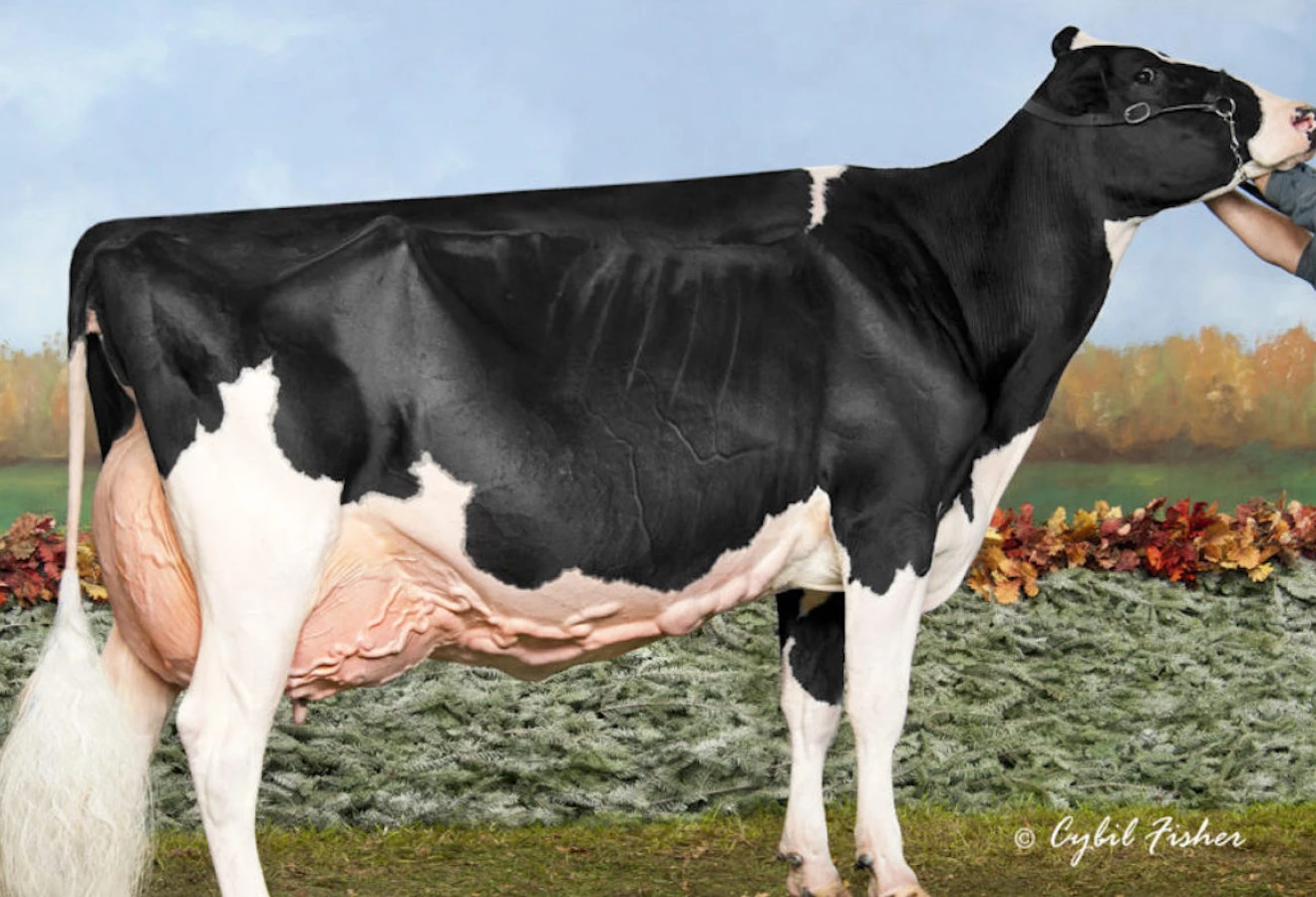 Blondin Goldwyn Subliminal EX-97 4E usa