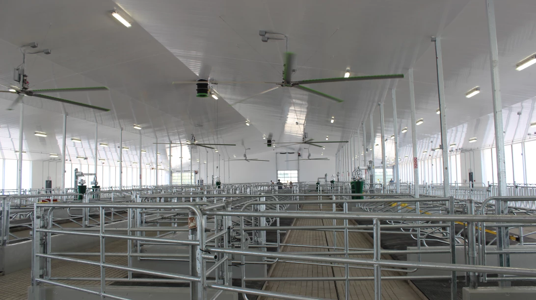 Les panneaux muraux et de plafond Trusscore