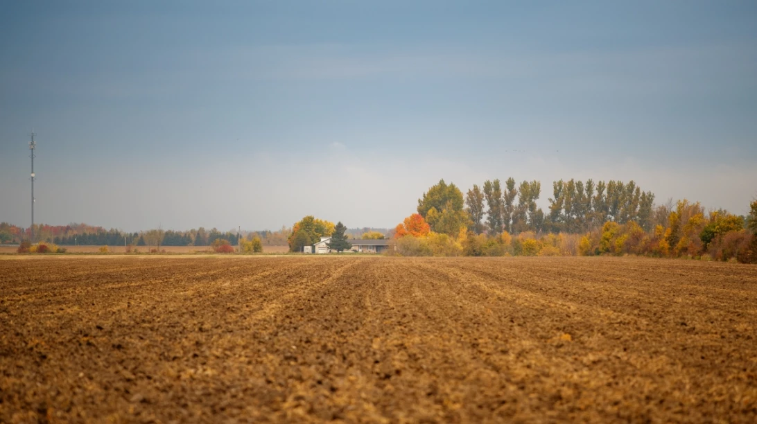 Photo d'un champ durant l'automne.
