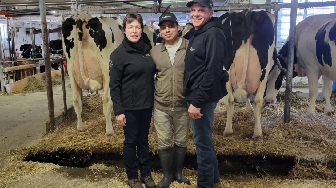 Trio de la Ferme Chantal