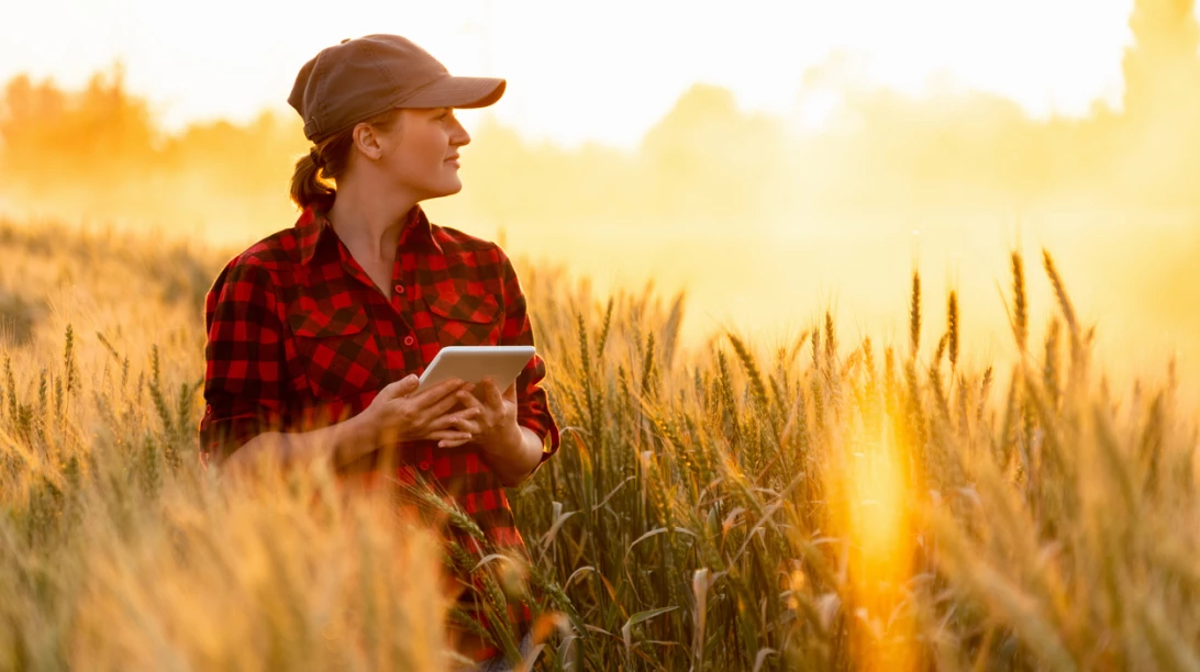 Femme dans un champ de blé avec sa tablette.