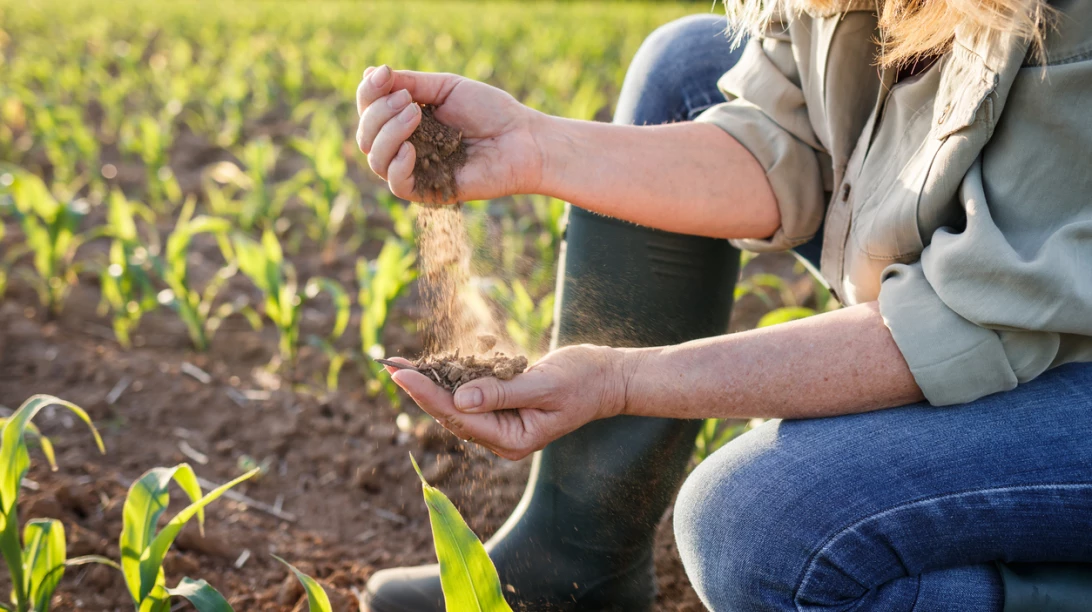 Une femme glisse de la terre entre ses doigts.