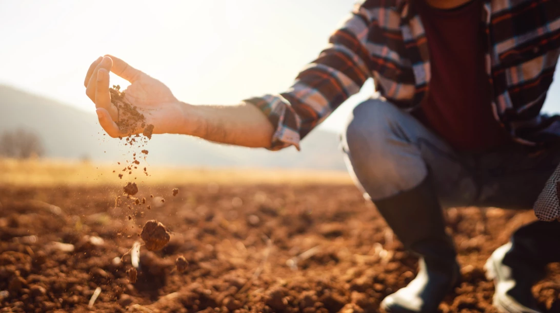 Personne observant sa terre