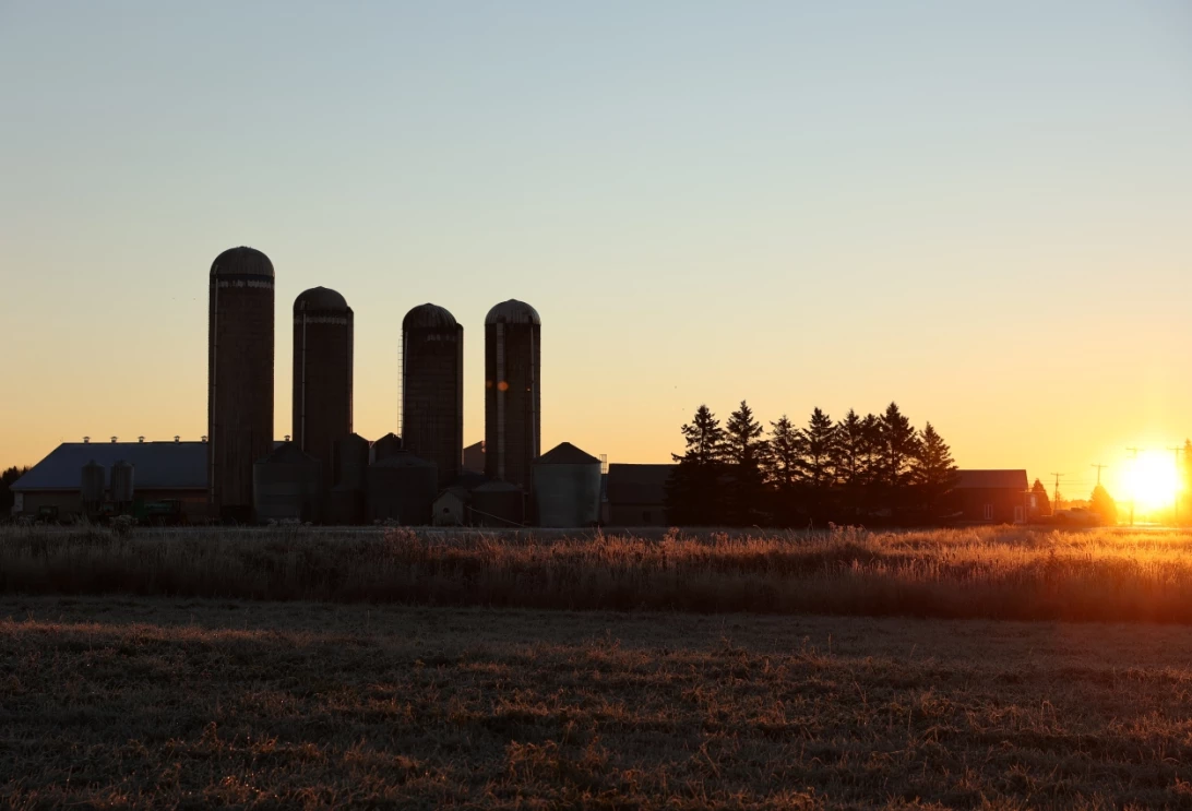 Paysage agricole au soleil couchant