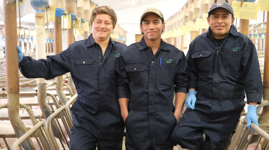 Manuel Gasparico, José Regalado et Edwin Muj dans la porcherie