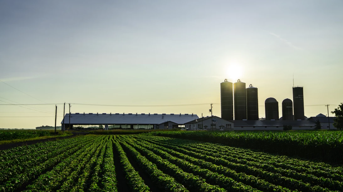 Ferme laitière sur fond de coucher de soleil-photo de Sollio Agriculture