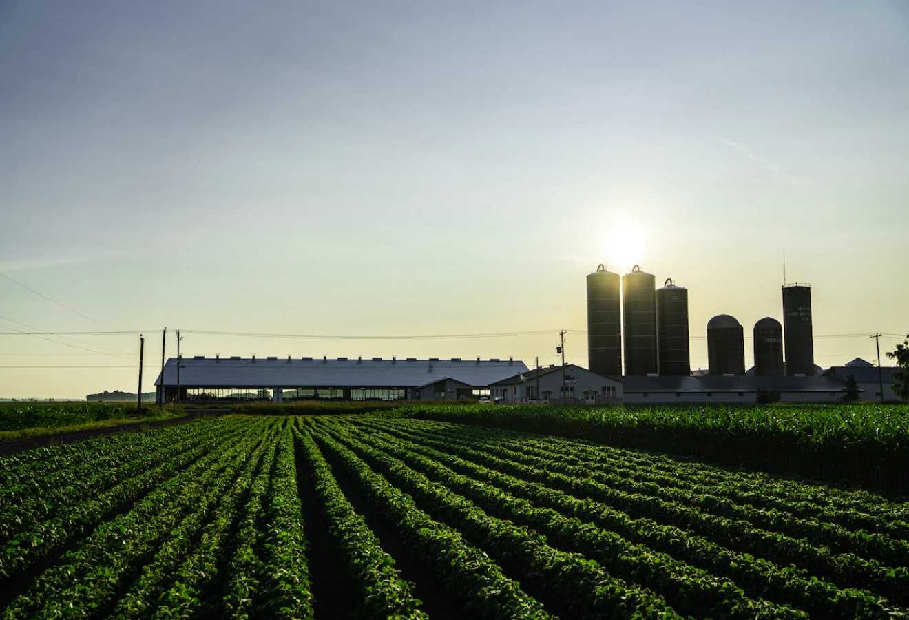 Ferme laitière sur fond de coucher de soleil-photo de Sollio Agriculture