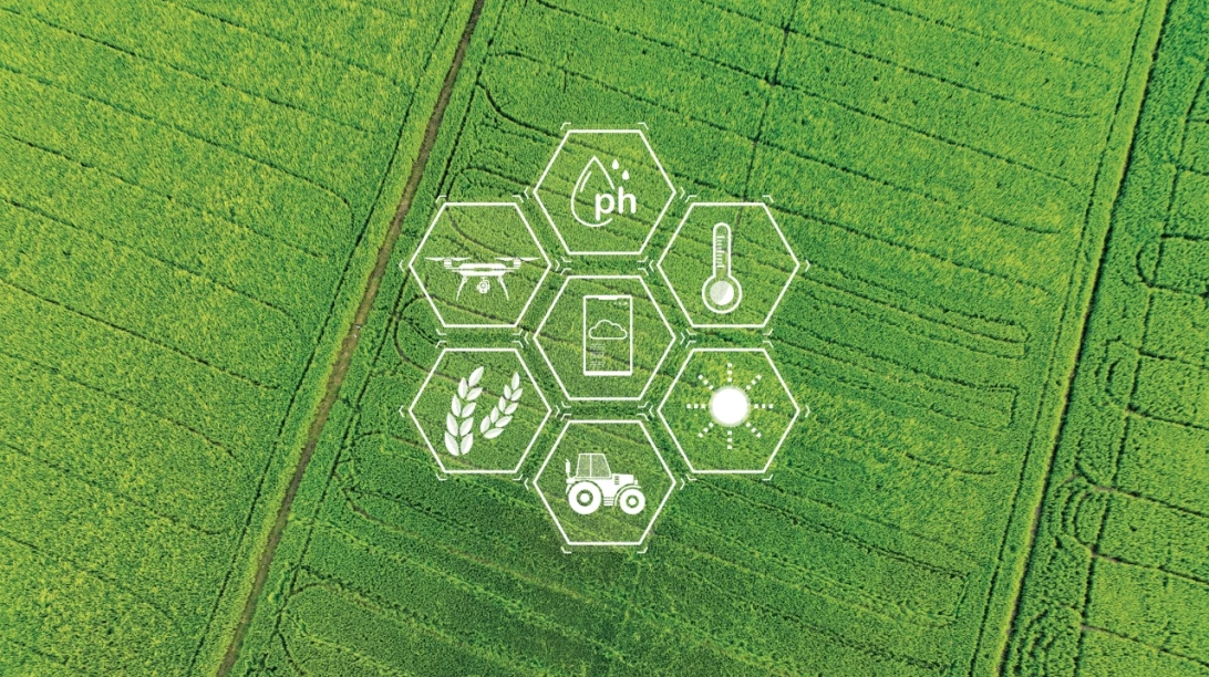 Champ avec un visuel représentant divers aspects de l'agriculture intelligente