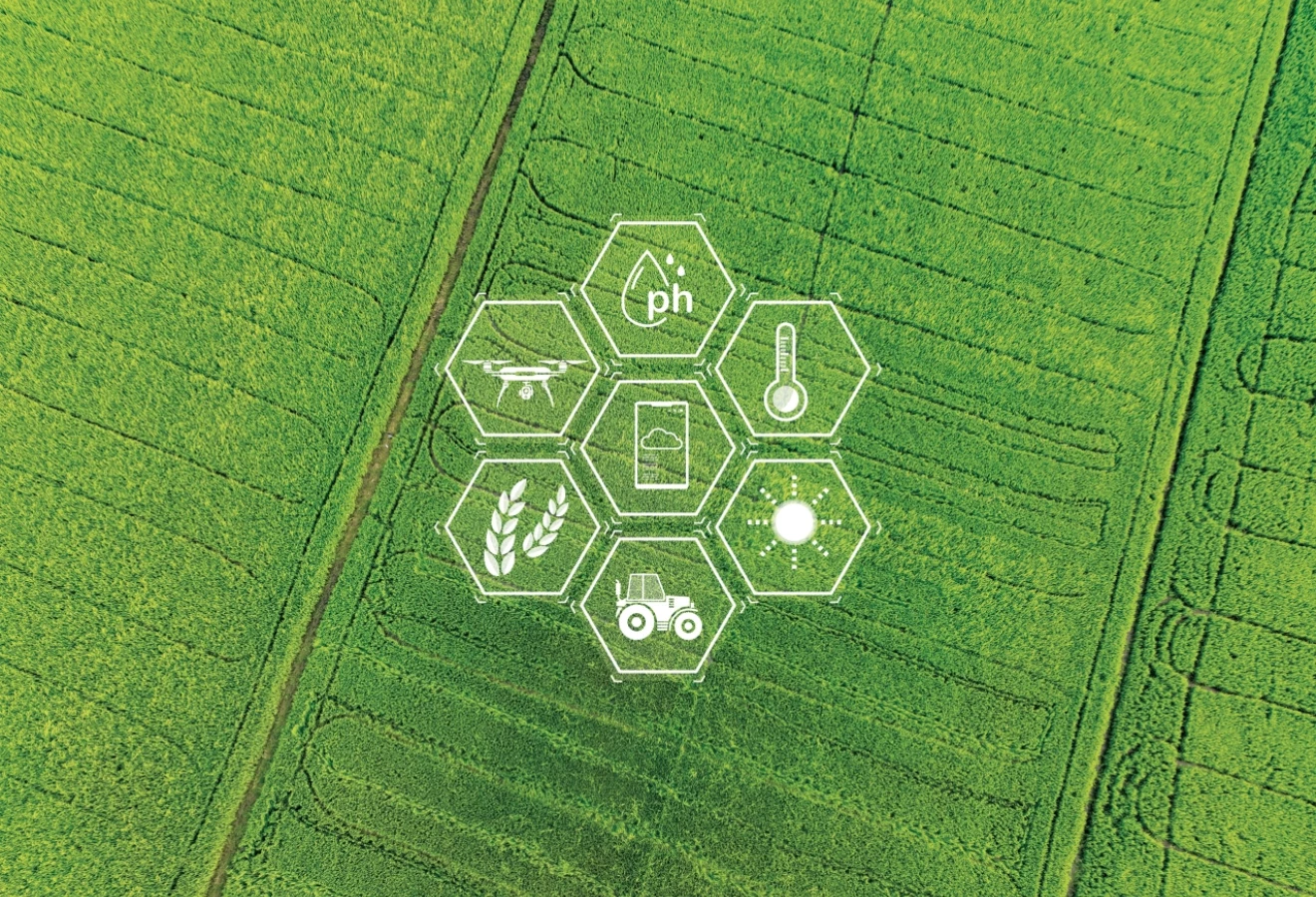 Champ avec un visuel représentant divers aspects de l'agriculture intelligente