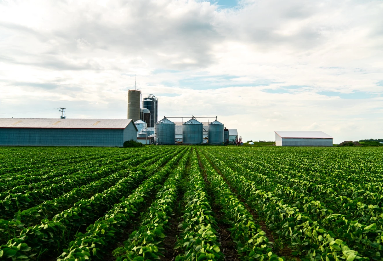 Un champ avec des silos en fond
