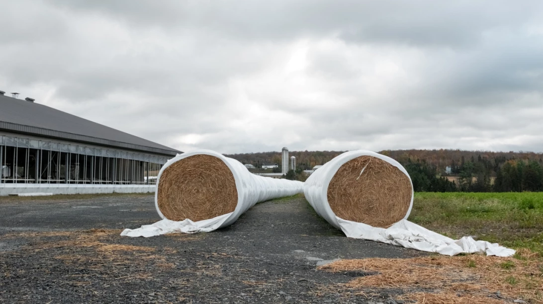 Ensilage