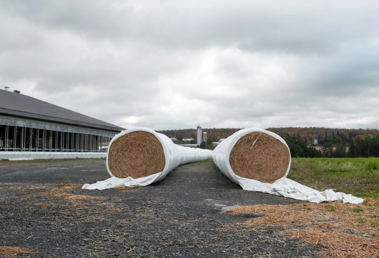Ensilage