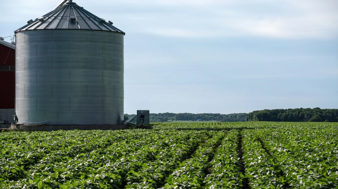 Champ de soya avec un silo séchoire