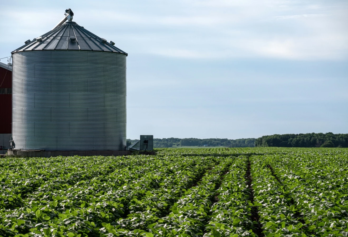 Champ de soya avec un silo séchoire
