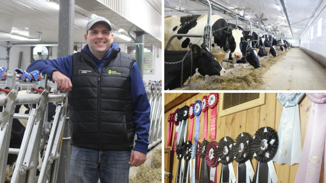 Jean-Pierre Breton avec ses vaches et ses prix