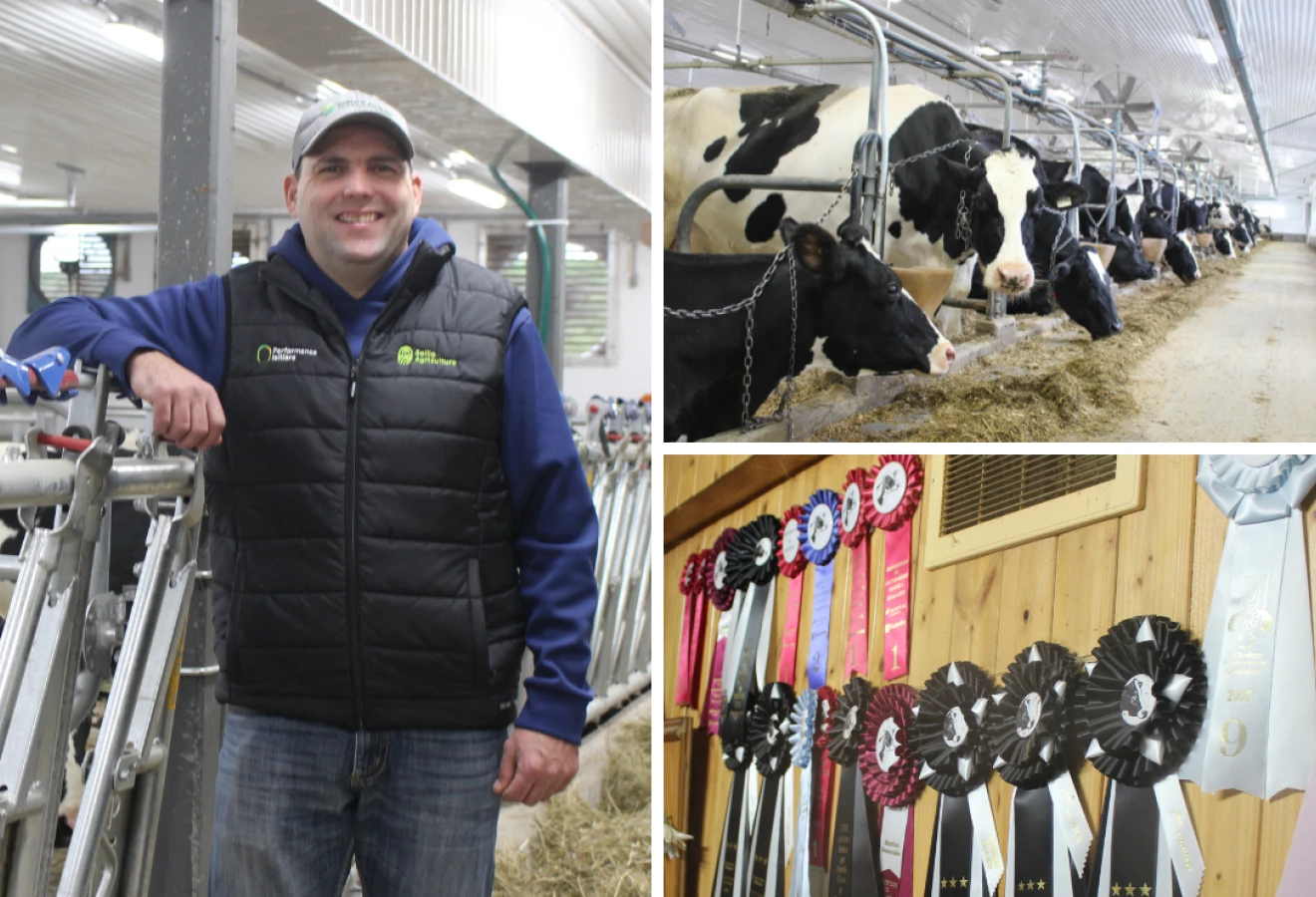 Jean-Pierre Breton avec ses vaches et ses prix