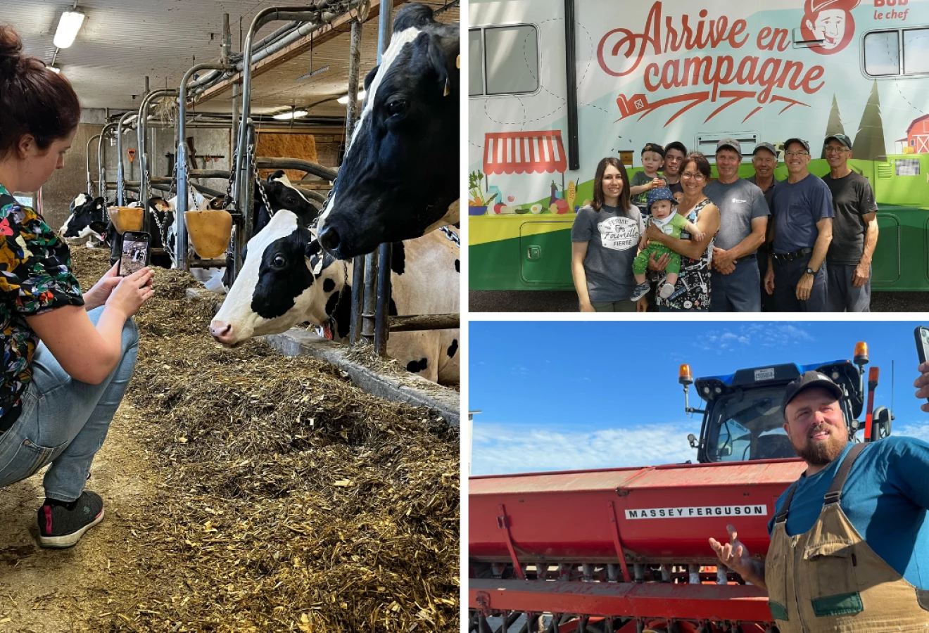Exemples de photos pour les réseaux sociaux des fermes participantes