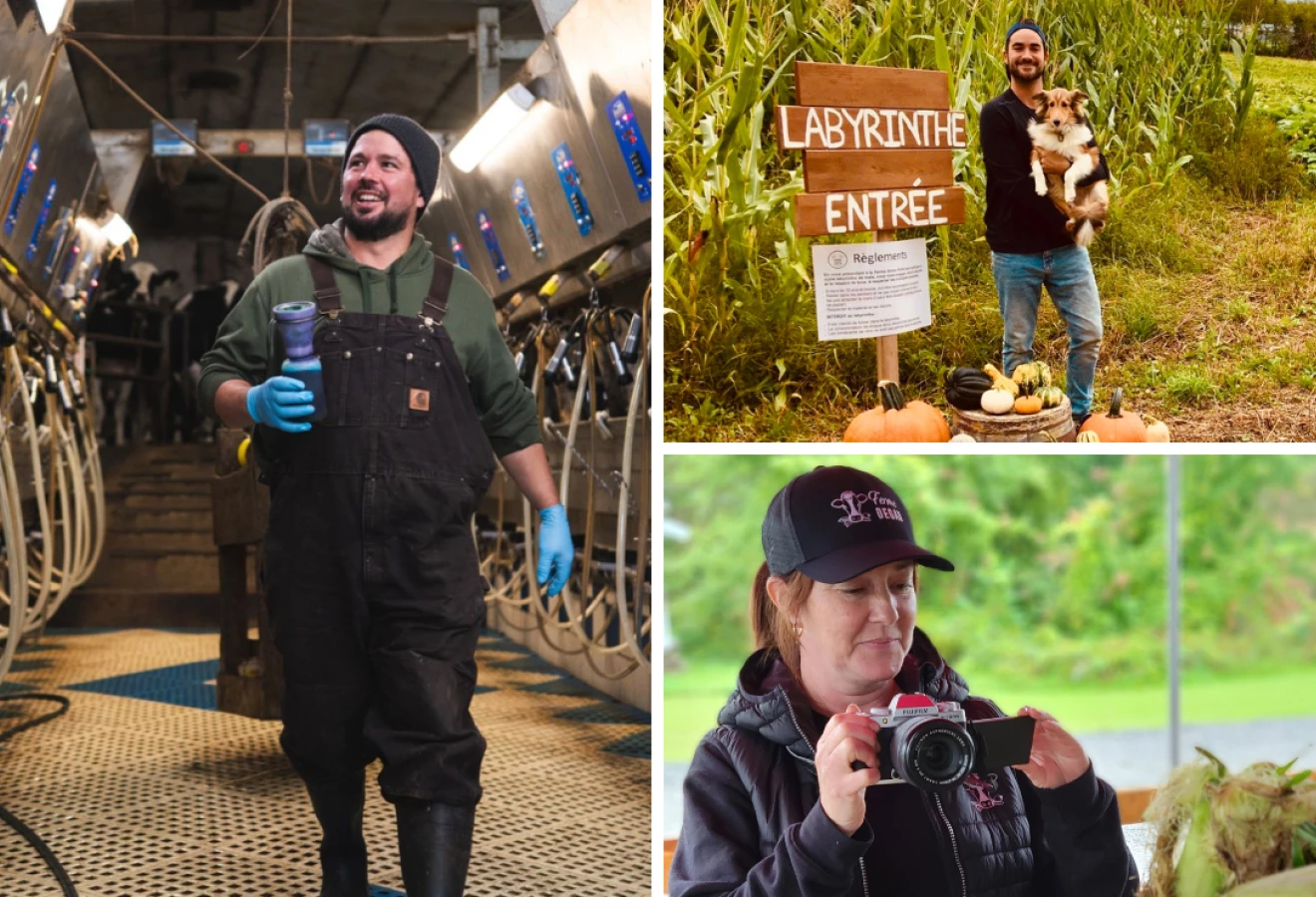 Exemples de photos pour les réseaux sociaux des fermes participantes