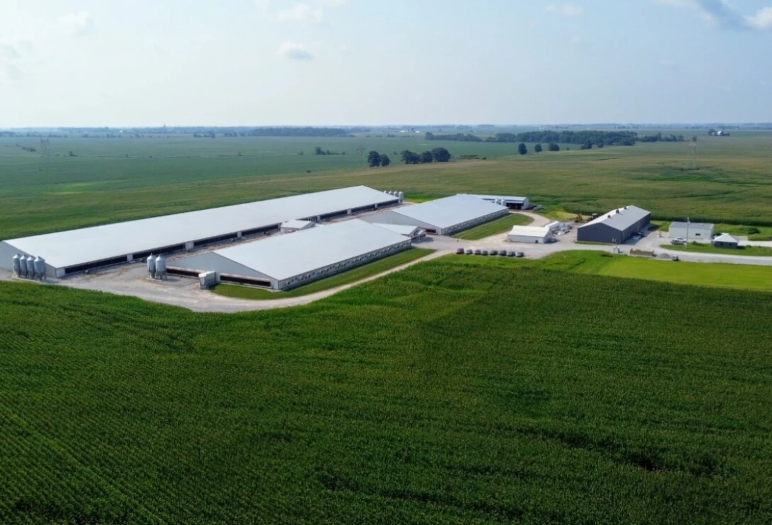 Fine Swine LLC Family Farms