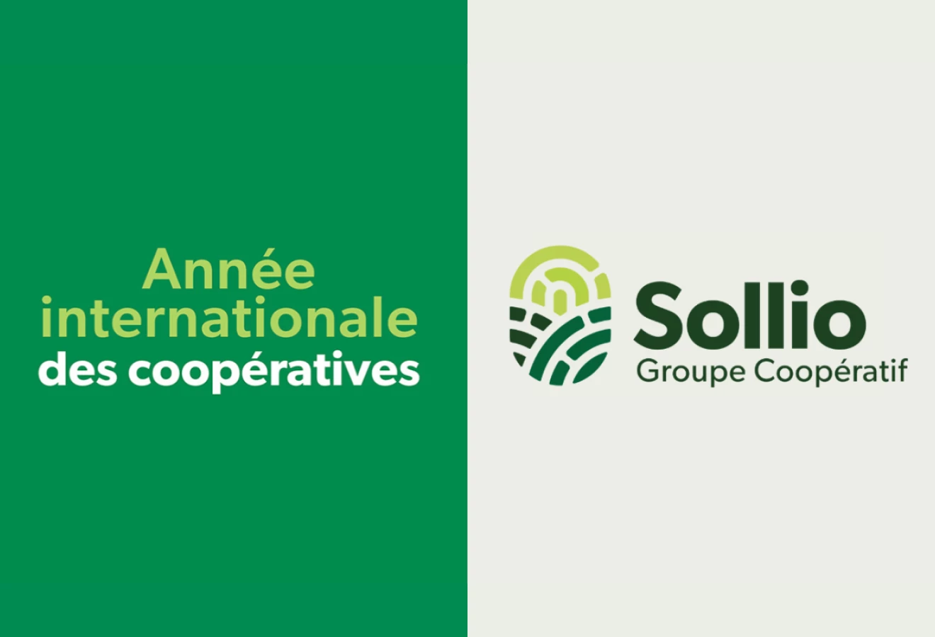 Visuel de l'Année internationale des coopératives