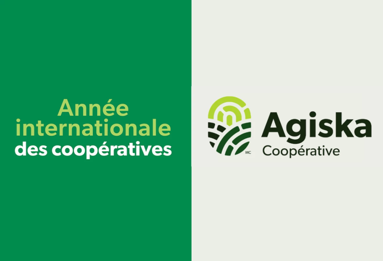 Visuel de l'Année internationale des coopératives avec le logo d'Agiska Coopérative